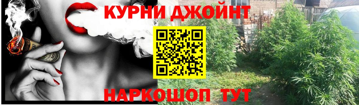 Бошки Шишки Bruce Banner  МАРИХУАНА марихуана  Пугачёв  Конопля SATIVA & INDICA  Вход с VPN 